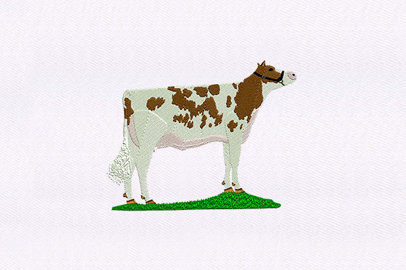 Spotted Brown Cow Design Review for Personalized Embroidery Gifts